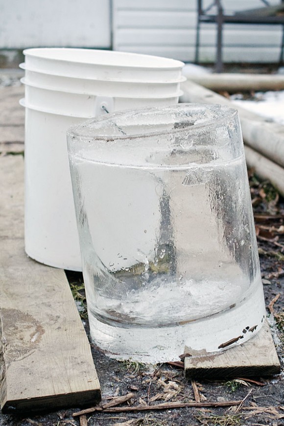 clean ice bucket