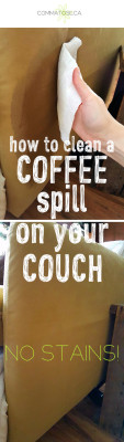 remove coffee from couch